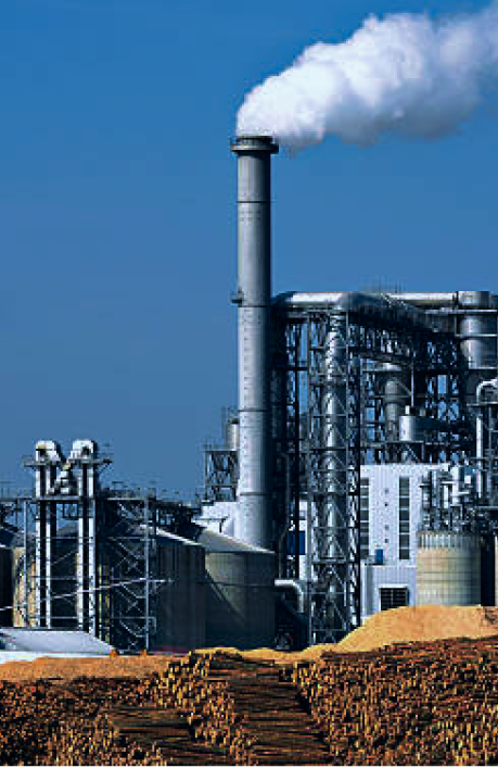 pulp and paper industry